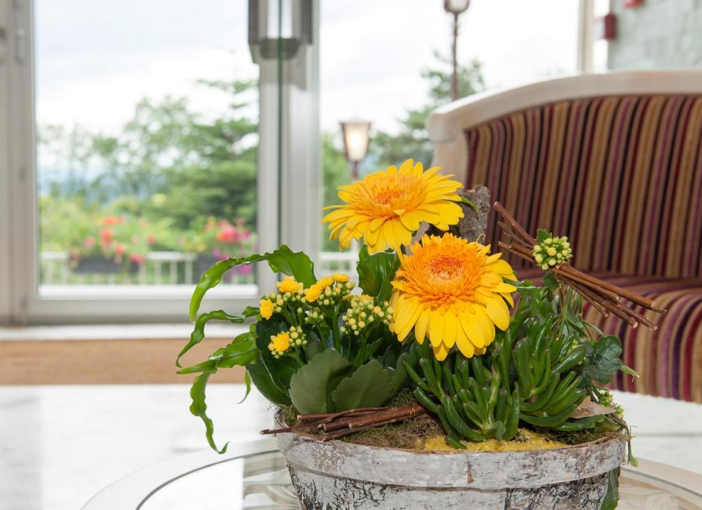 Alexain Hotel Restaurant & Wellness - Colmar Ouest ตรัวส์-เอปีส์ ภายนอก รูปภาพ